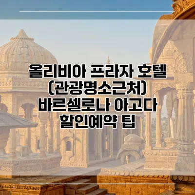 올리비아 프라자 호텔 (관광명소근처) 바르셀로나 아고다 할인예약 팁