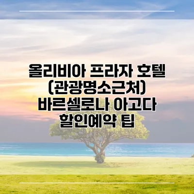 올리비아 프라자 호텔 (관광명소근처) 바르셀로나 아고다 할인예약 팁