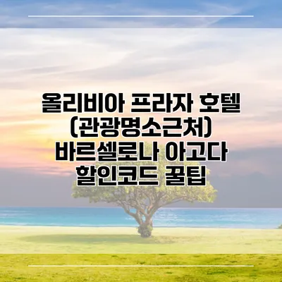 올리비아 프라자 호텔 (관광명소근처) 바르셀로나 아고다 할인코드 꿀팁