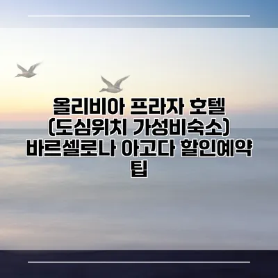 올리비아 프라자 호텔 (도심위치 가성비숙소) 바르셀로나 아고다 할인예약 팁