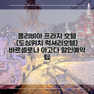 올리비아 프라자 호텔 (도심위치 럭셔리호텔) 바르셀로나 아고다 할인예약 팁