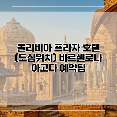 올리비아 프라자 호텔 (도심위치) 바르셀로나 아고다 예약팁