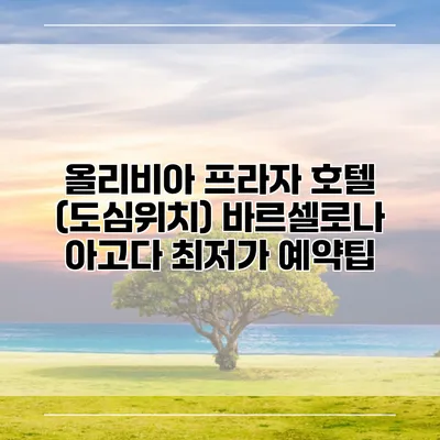 올리비아 프라자 호텔 (도심위치) 바르셀로나 아고다 최저가 예약팁