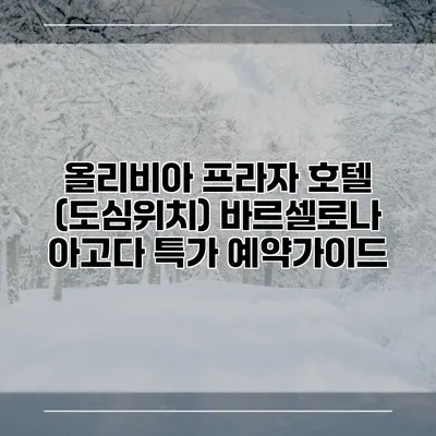 올리비아 프라자 호텔 (도심위치) 바르셀로나 아고다 특가 예약가이드