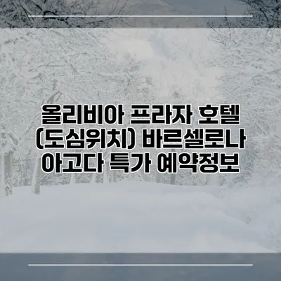 올리비아 프라자 호텔 (도심위치) 바르셀로나 아고다 특가 예약정보