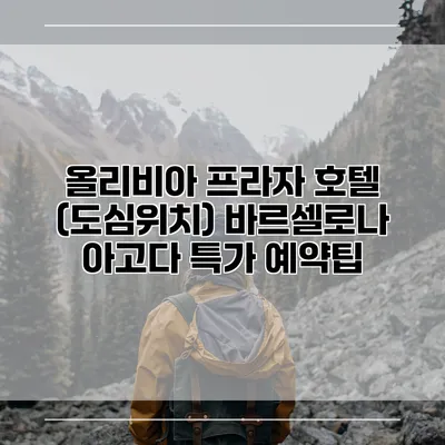 올리비아 프라자 호텔 (도심위치) 바르셀로나 아고다 특가 예약팁