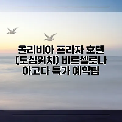 올리비아 프라자 호텔 (도심위치) 바르셀로나 아고다 특가 예약팁