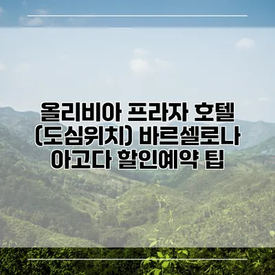 올리비아 프라자 호텔 (도심위치) 바르셀로나 아고다 할인예약 팁