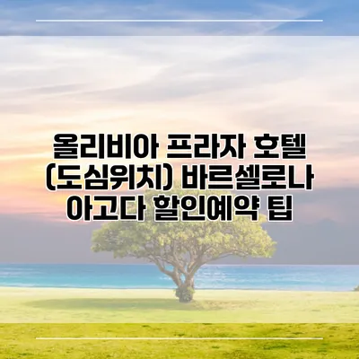 올리비아 프라자 호텔 (도심위치) 바르셀로나 아고다 할인예약 팁