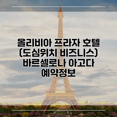 올리비아 프라자 호텔 (도심위치 비즈니스) 바르셀로나 아고다 예약정보