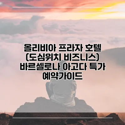 올리비아 프라자 호텔 (도심위치 비즈니스) 바르셀로나 아고다 특가 예약가이드