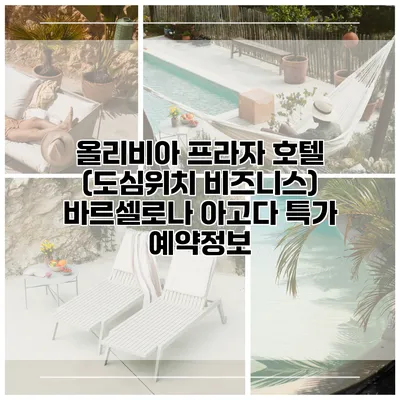 올리비아 프라자 호텔 (도심위치 비즈니스) 바르셀로나 아고다 특가 예약정보