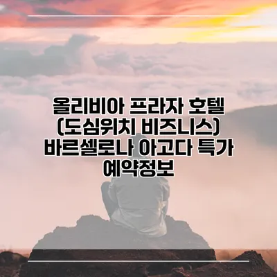 올리비아 프라자 호텔 (도심위치 비즈니스) 바르셀로나 아고다 특가 예약정보