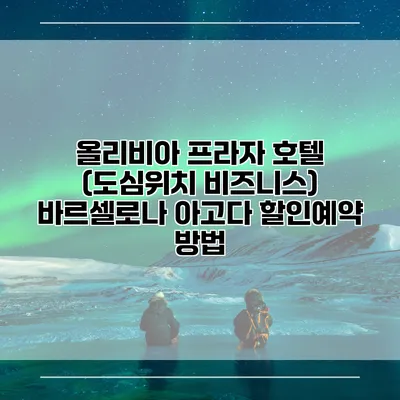 올리비아 프라자 호텔 (도심위치 비즈니스) 바르셀로나 아고다 할인예약 방법