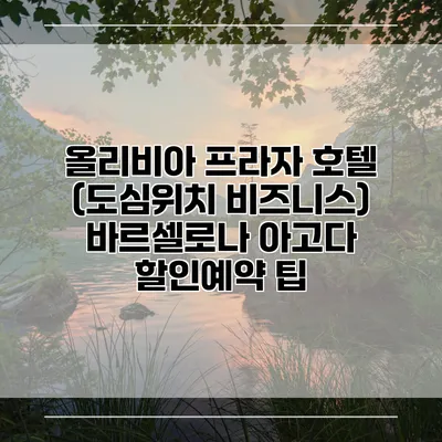 올리비아 프라자 호텔 (도심위치 비즈니스) 바르셀로나 아고다 할인예약 팁