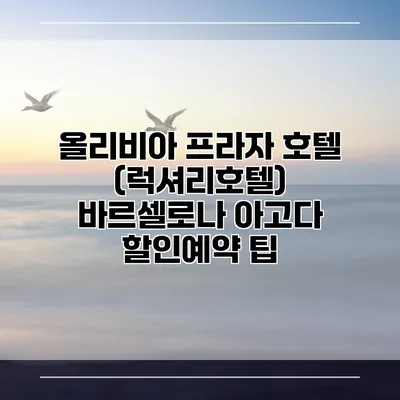 올리비아 프라자 호텔 (럭셔리호텔) 바르셀로나 아고다 할인예약 팁