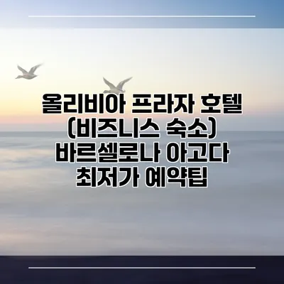 올리비아 프라자 호텔 (비즈니스 숙소) 바르셀로나 아고다 최저가 예약팁