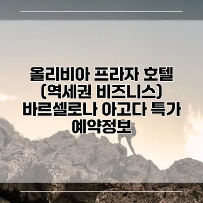 올리비아 프라자 호텔 (역세권 비즈니스) 바르셀로나 아고다 특가 예약정보