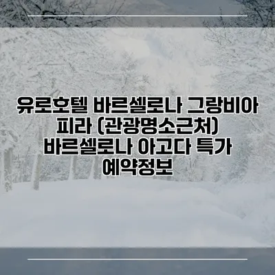 유로호텔 바르셀로나 그랑비아 피라 (관광명소근처) 바르셀로나 아고다 특가 예약정보