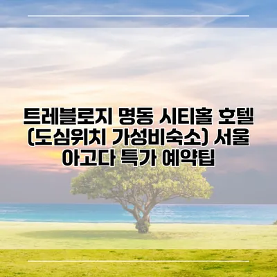 트레블로지 명동 시티홀 호텔 (도심위치 가성비숙소) 서울 아고다 특가 예약팁