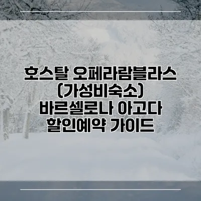 호스탈 오페라람블라스 (가성비숙소) 바르셀로나 아고다 할인예약 가이드