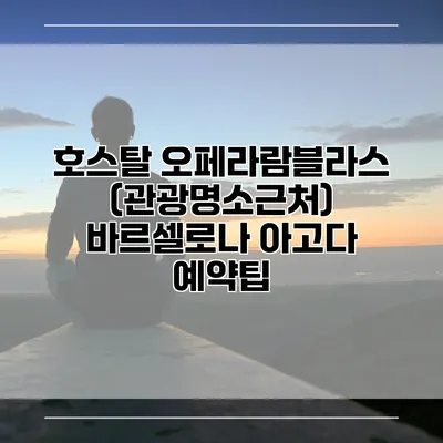 호스탈 오페라람블라스 (관광명소근처) 바르셀로나 아고다 예약팁