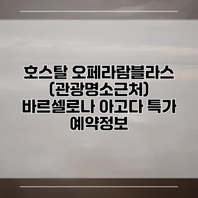 호스탈 오페라람블라스 (관광명소근처) 바르셀로나 아고다 특가 예약정보