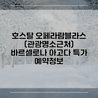 호스탈 오페라람블라스 (관광명소근처) 바르셀로나 아고다 특가 예약정보