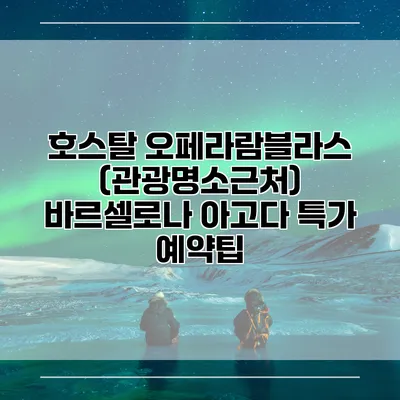 호스탈 오페라람블라스 (관광명소근처) 바르셀로나 아고다 특가 예약팁