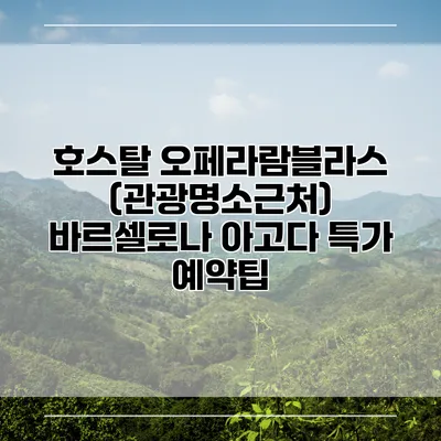 호스탈 오페라람블라스 (관광명소근처) 바르셀로나 아고다 특가 예약팁