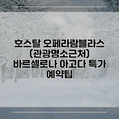 호스탈 오페라람블라스 (관광명소근처) 바르셀로나 아고다 특가 예약팁