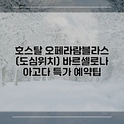 호스탈 오페라람블라스 (도심위치) 바르셀로나 아고다 특가 예약팁