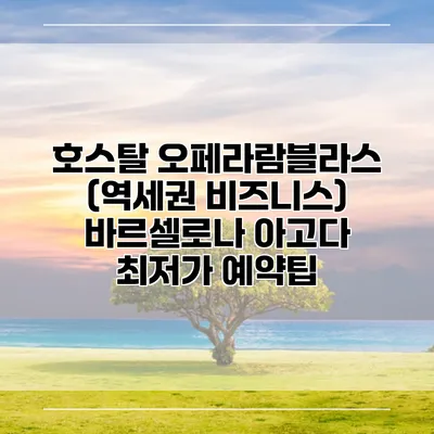 호스탈 오페라람블라스 (역세권 비즈니스) 바르셀로나 아고다 최저가 예약팁