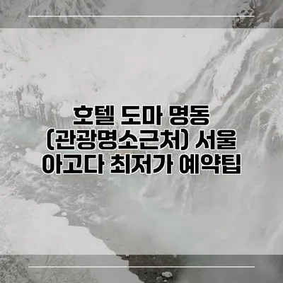 호텔 도마 명동 (관광명소근처) 서울 아고다 최저가 예약팁