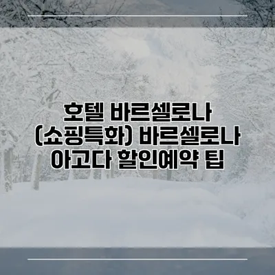 호텔 바르셀로나 (쇼핑특화) 바르셀로나 아고다 할인예약 팁