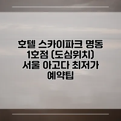 호텔 스카이파크 명동 1호점 (도심위치) 서울 아고다 최저가 예약팁