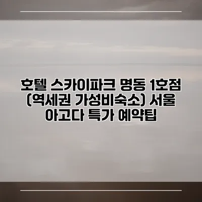 호텔 스카이파크 명동 1호점 (역세권 가성비숙소) 서울 아고다 특가 예약팁