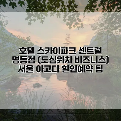 호텔 스카이파크 센트럴 명동점 (도심위치 비즈니스) 서울 아고다 할인예약 팁