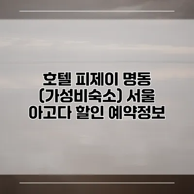 호텔 피제이 명동 (가성비숙소) 서울 아고다 할인 예약정보